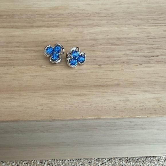 Vintage ClipOn Earrings - Picture 1 of 3